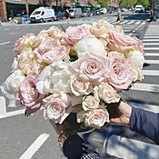 Blush Dream