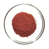 Bright Red Ochre Pigment ½ oz.