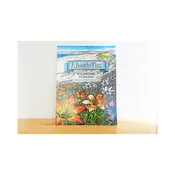 A Beautiful Place Coloring Book — Glen Arbor Artisans