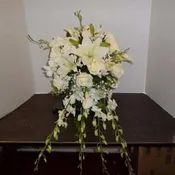 Orchid bride surprise