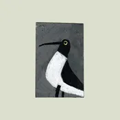 Gal gull — Anne Made