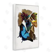1x | Victorian Naturalist Butterflies Wall Art