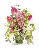 Wild in the tropics — My Fair Lady's Flowers