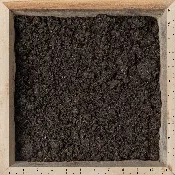 Composted Manure
