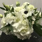 Elegant White Cloud