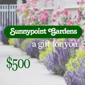 $500 Gift Card