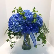 Bold and Bluetiful - WFS0578