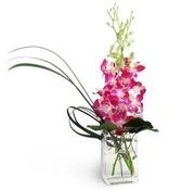 A Touch Of Pink™