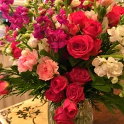 Beautiful Blossoms