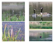 Around the Pond Set