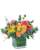 Dahlia Jewels