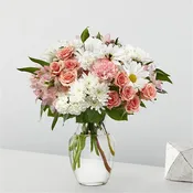 BLUSH CRUSH