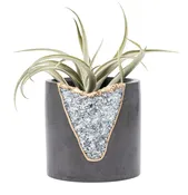 Aquamarine Mod Planter (Dark) 3 inch