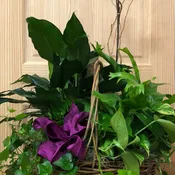 OOO AHHH Garden Basket
