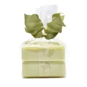 Cucumber Joie de Vivre Gift Package of 2