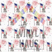 4th of July  Fireworks and Statue of Liberty Pattern Vinyl 12" x 12"