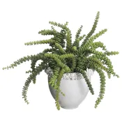 15″ Succulent in Ceramic Vase