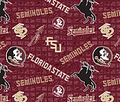 FLORIDA STATE UNIVERSITY-JERSEY KNIT - FSU1401