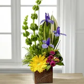 Best Year Arrangement 0117