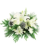 A Winter Wonderland