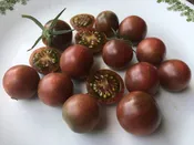 Black Cherry Purple Tomato
