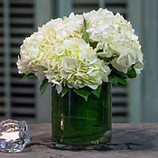 Hydrangeas