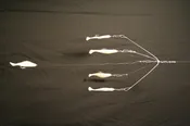 4" NE 4-Arm Shad Rig - Small