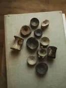1-3" Fossilized Marine Animal Vertebrae, RM1440