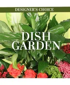 LOVELY DISH GARDEN