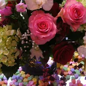 Romantic Valentine Delight!
