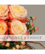 DESIGNER'S CHOICE