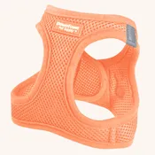 Adjustable Step-In Small Dog Harness - Pastel Colors