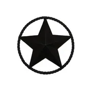 12" STEEL STAR W/RING - BLACK