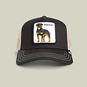 Bad Boy Trucker