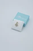 10kt Natural Diamond Clove Pendant