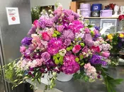 Purple Dreams