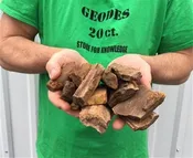 1/4 pound Piece of Texas Petrified Wood
