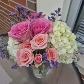 Everyday Roses