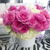 Hot Pink Delight