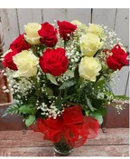 A GORGEOUS 2 DOZEN ROSES