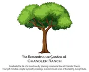 Plant a Memorial Tree