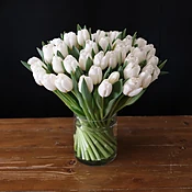 white tulips — MICHAEL GEORGE