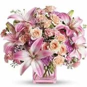 Blush Pink