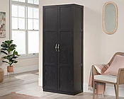 Sauder 2-Door Storage Cabinet with Shelves in Black 433933