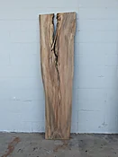 American Elm AE142