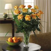A Dozen Premium Pale Peach Roses
