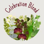 Celebration Blend | The Charis Collective