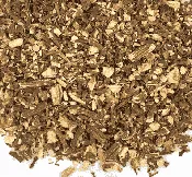 Angelica Root