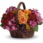 Sending Joy
