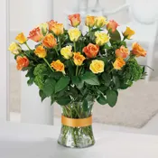 Beautiful Roses